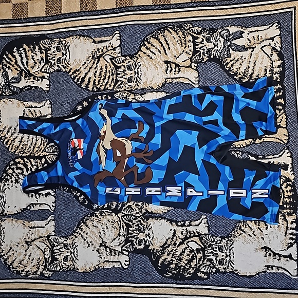 Addix Wile E. Coyote singlet graphic print adult xs blue champion print 💙 - Picture 4 of 6